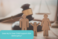 a representation of family law focusing on child custody