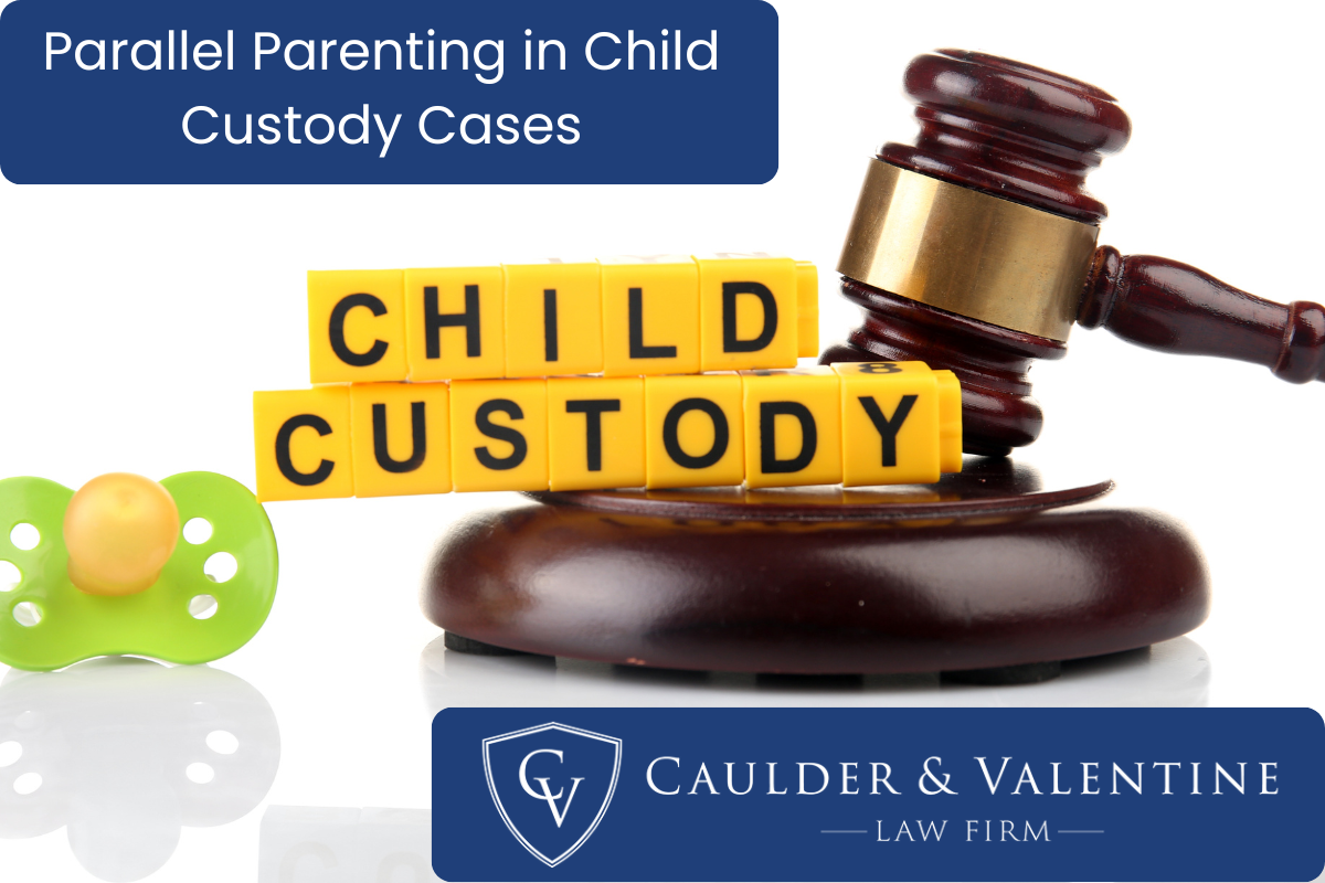 Child custody and gavel - concept for Parallel Parenting in Child Custody Cases